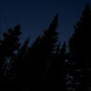 Meet your Posher, Kyleigh